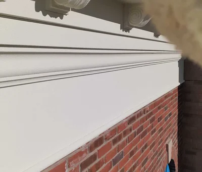 Crown Moulding Painting