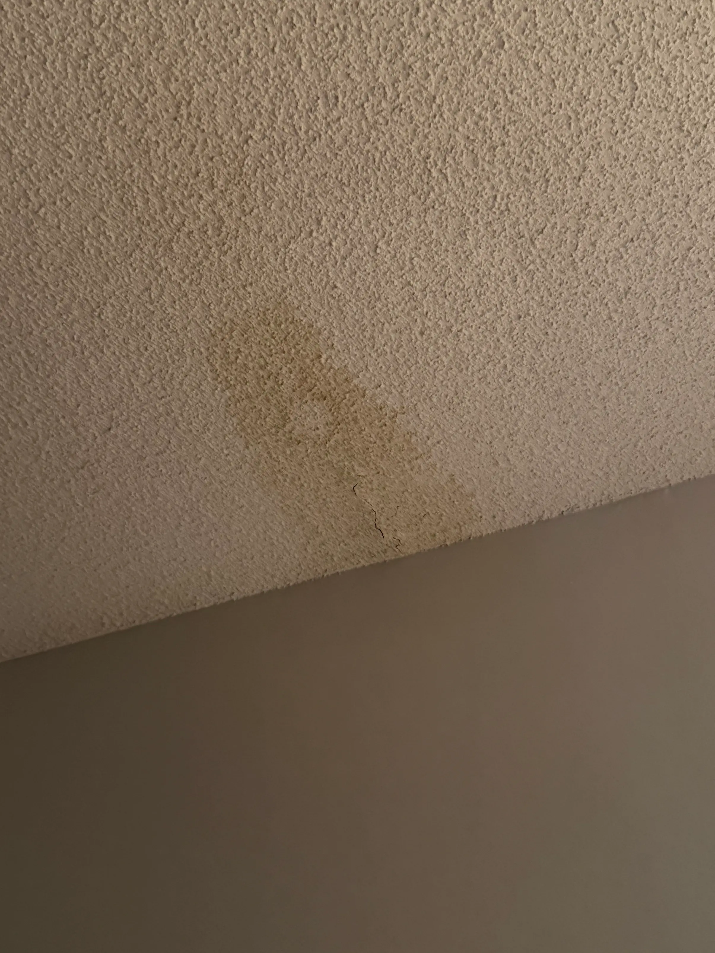 Brown water stain bleeding back through fresh ceiling paint, a stain-blocking failure