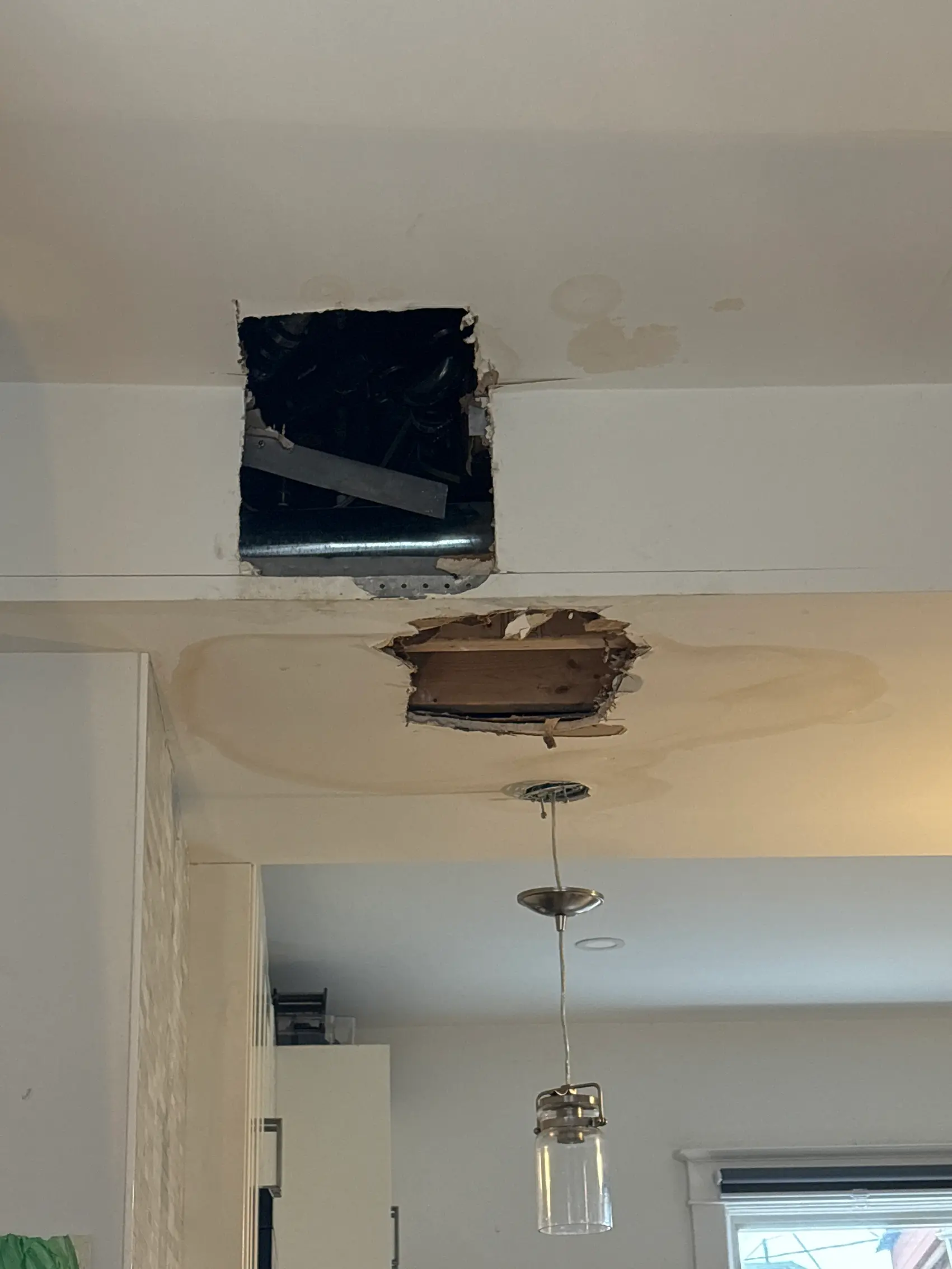 After a water leak, the two saturated areas of this Toronto ceiling were cut out down to solid drywall before any patching, priming, or repainting began Two sections of water-damaged ceiling drywall cut out after a leak in a Toronto home, photographed before the repair
